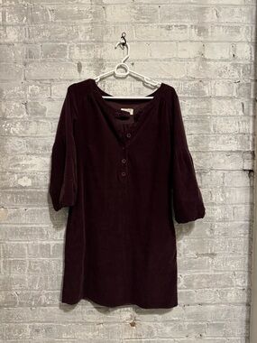 TOAST brown Button-Front Tunic